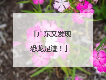 广东又发现恐龙足迹！