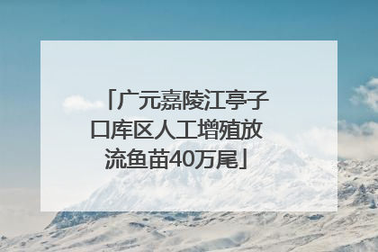 广元嘉陵江亭子口库区人工增殖放流鱼苗40万尾