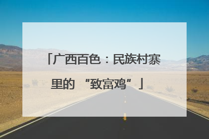 广西百色：民族村寨里的 “致富鸡”