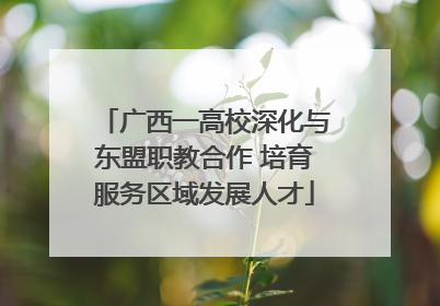 广西一高校深化与东盟职教合作 培育服务区域发展人才