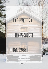 广西三江：椒香满园促增收