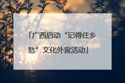 广西启动“记得住乡愁”文化外宣活动