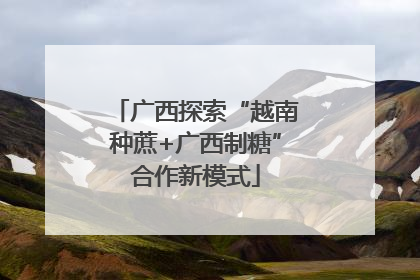 广西探索“越南种蔗+广西制糖”合作新模式