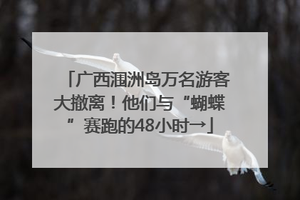 广西涠洲岛万名游客大撤离！他们与“蝴蝶”赛跑的48小时→