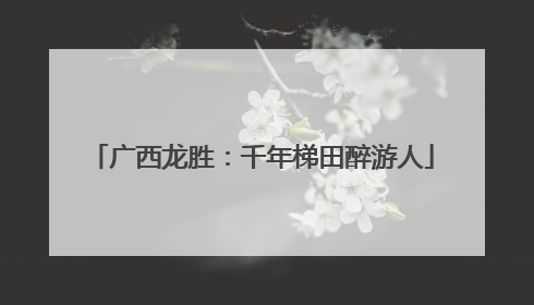 广西龙胜：千年梯田醉游人