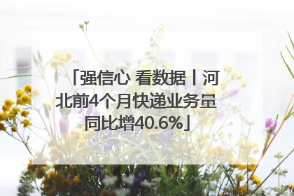 强信心 看数据丨河北前4个月快递业务量同比增40.6%