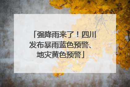 强降雨来了！四川发布暴雨蓝色预警、地灾黄色预警
