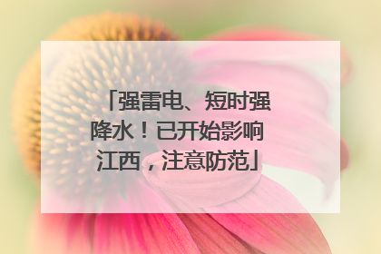 强雷电、短时强降水！已开始影响江西，注意防范