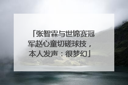 张智霖与世锦赛冠军赵心童切磋球技，本人发声：很梦幻