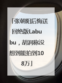张朝阳后悔送回绝版Labubu，胡润称没想到能拍到108万
