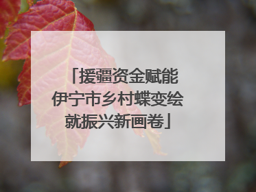 援疆资金赋能 伊宁市乡村蝶变绘就振兴新画卷