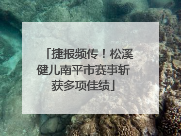 捷报频传！松溪健儿南平市赛事斩获多项佳绩