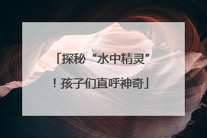探秘“水中精灵”！孩子们直呼神奇