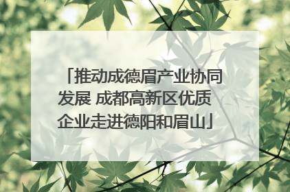 推动成德眉产业协同发展 成都高新区优质企业走进德阳和眉山