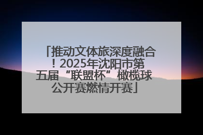 推动文体旅深度融合！2025年沈阳市第五届“联盟杯”橄榄球公开赛燃情开赛