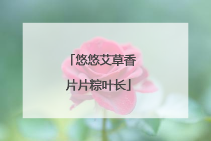 悠悠艾草香 片片粽叶长