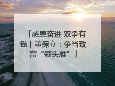 感恩奋进 双争有我丨董保立：争当致富“领头雁”