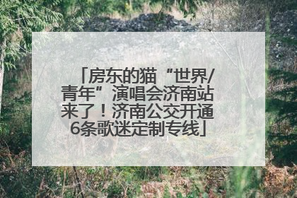 房东的猫“世界/青年”演唱会济南站来了！济南公交开通6条歌迷定制专线