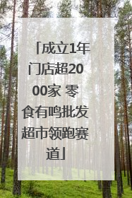成立1年门店超2000家 零食有鸣批发超市领跑赛道