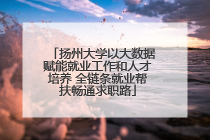 扬州大学以大数据赋能就业工作和人才培养 全链条就业帮扶畅通求职路