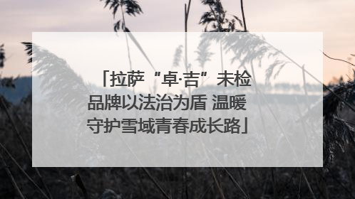 拉萨“卓·吉”未检品牌以法治为盾 温暖守护雪域青春成长路
