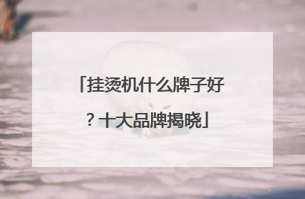 挂烫机什么牌子好？十大品牌揭晓