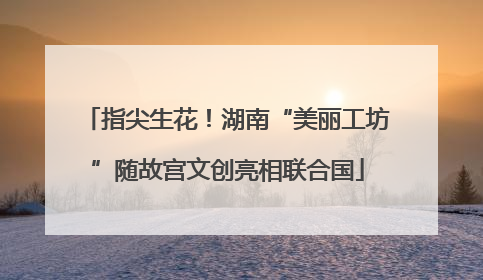 指尖生花！湖南“美丽工坊”随故宫文创亮相联合国