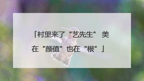 村里来了“艺先生” 美在“颜值”也在“根”