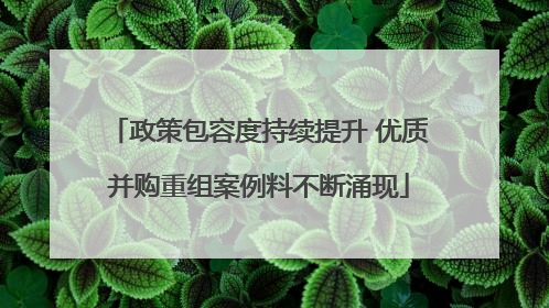 政策包容度持续提升 优质并购重组案例料不断涌现