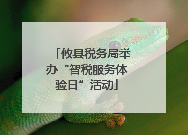 攸县税务局举办“智税服务体验日”活动