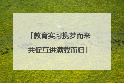 教育实习携梦而来 共促互进满载而归