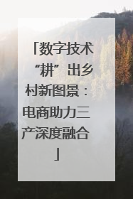 数字技术“耕”出乡村新图景：电商助力三产深度融合