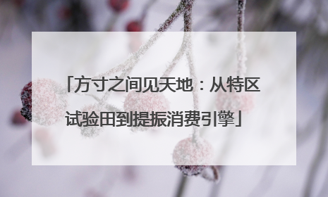 方寸之间见天地：从特区试验田到提振消费引擎