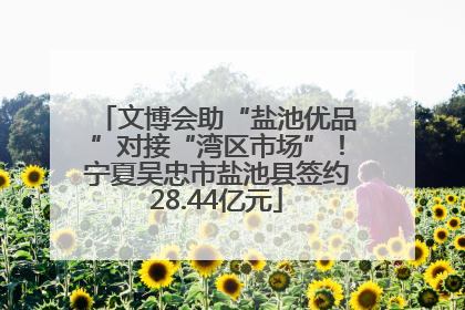 文博会助“盐池优品”对接“湾区市场”！宁夏吴忠市盐池县签约28.44亿元