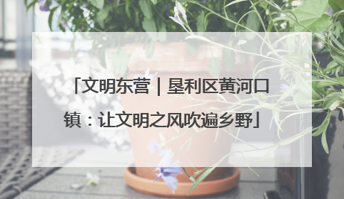 文明东营｜垦利区黄河口镇：让文明之风吹遍乡野