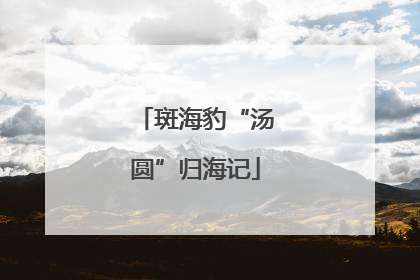 斑海豹“汤圆”归海记