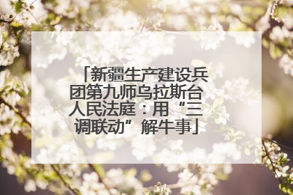 新疆生产建设兵团第九师乌拉斯台人民法庭：用“三调联动”解牛事