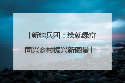 新疆兵团：绘就绿富同兴乡村振兴新图景