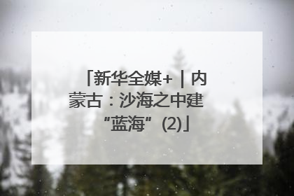 新华全媒+｜内蒙古：沙海之中建“蓝海”(2)