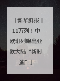 新华鲜报丨11万列！中欧班列跑出亚欧大陆“新时速”