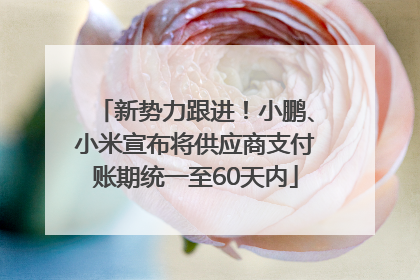 新势力跟进！小鹏、小米宣布将供应商支付账期统一至60天内