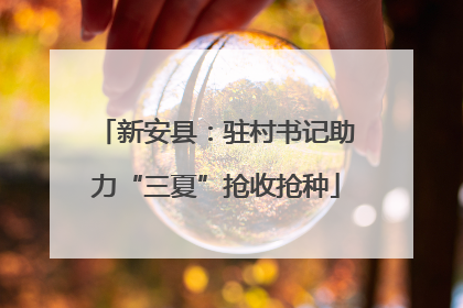 新安县：驻村书记助力“三夏”抢收抢种