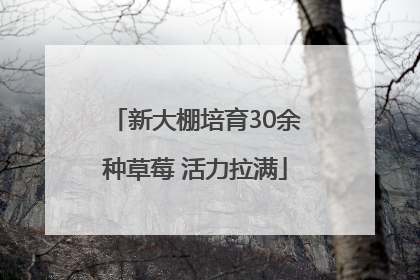 新大棚培育30余种草莓 活力拉满