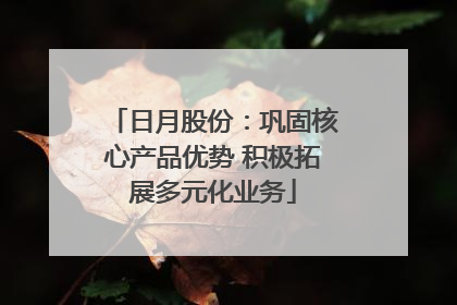 日月股份：巩固核心产品优势 积极拓展多元化业务