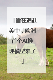 旨在追赶美中，欧洲首个AI推理模型来了