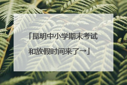 昆明中小学期末考试和放假时间来了→