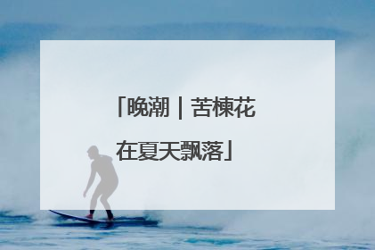 晚潮｜苦楝花在夏天飘落