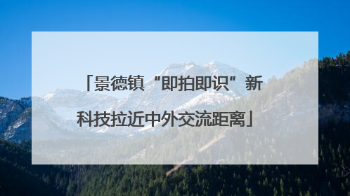 景德镇“即拍即识”新科技拉近中外交流距离