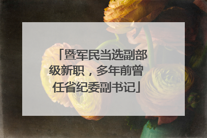 暨军民当选副部级新职，多年前曾任省纪委副书记