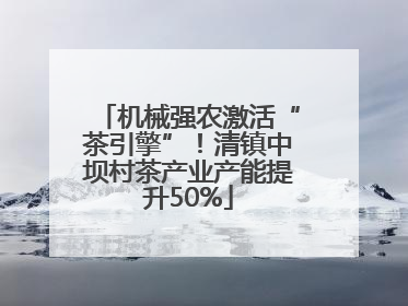 机械强农激活“茶引擎”！清镇中坝村茶产业产能提升50%